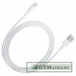 Дата-кабель USB iPhone 5/iPad 4/iPad mini/mini 2 Retina - Оригинал 100%